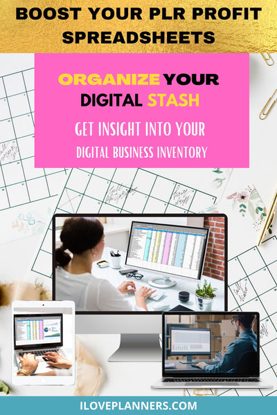 BOOST YOUR PROFIT USING PLR SPREADSHEET - ORGANIZE YOUR DIGITAL STASH